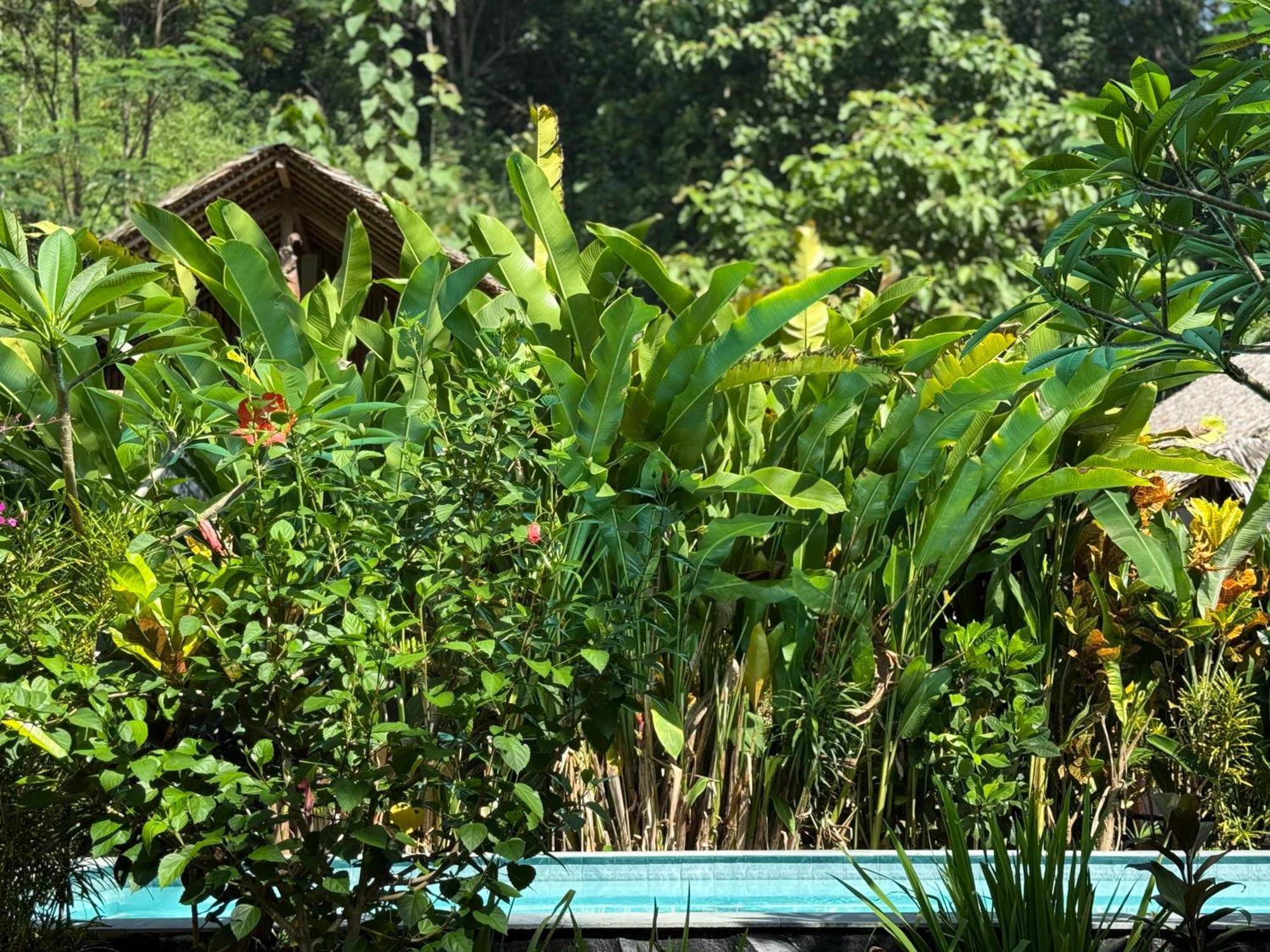 Rnv Eco Resort Bungalows Batukaras Extérieur photo
