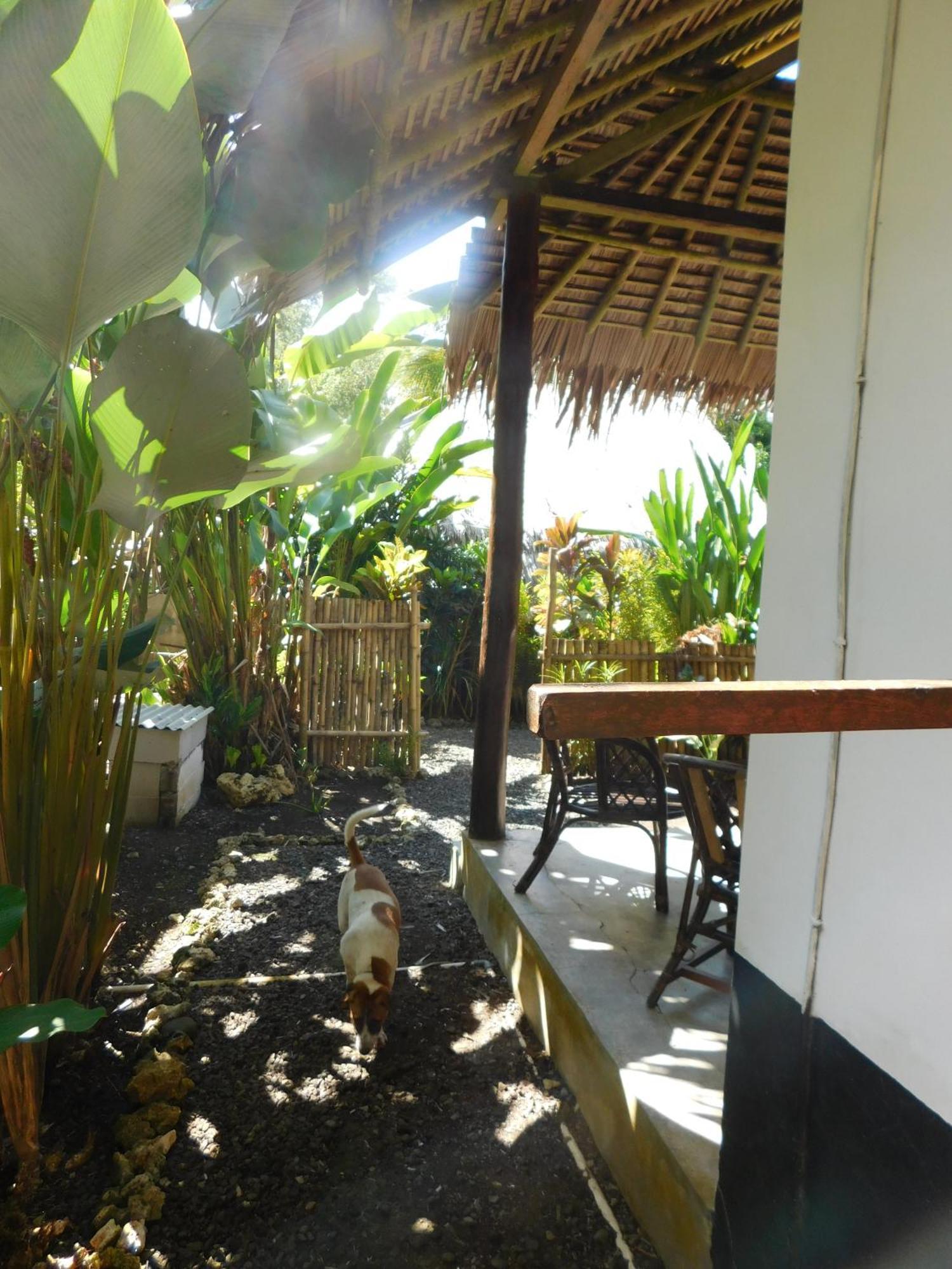 Rnv Eco Resort Bungalows Batukaras Extérieur photo